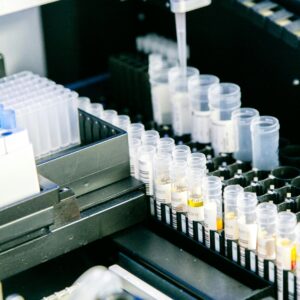 pcr deteccion neisseria gonorrhoeae